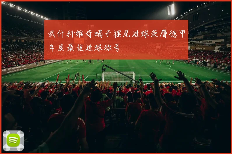 武什科维奇蝎子摆尾进球荣膺德甲年度最佳进球称号