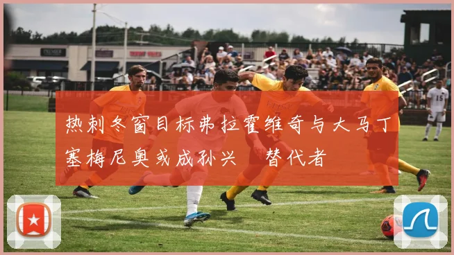 热刺冬窗目标弗拉霍维奇与大马丁塞梅尼奥或成孙兴慜替代者