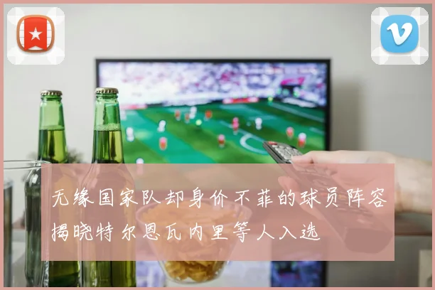 无缘国家队却身价不菲的球员阵容揭晓特尔恩瓦内里等人入选